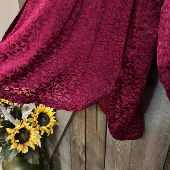 Anthropologie Susanna Burnout Velvet Button Down Blouse - Picture 12 of 12